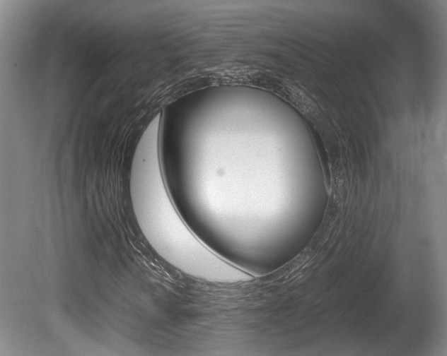 X0000080661010200612150729