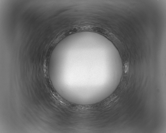 X0000080661011200612150729