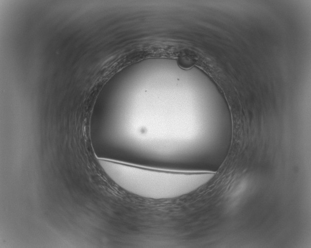 X0000080661013200612150729