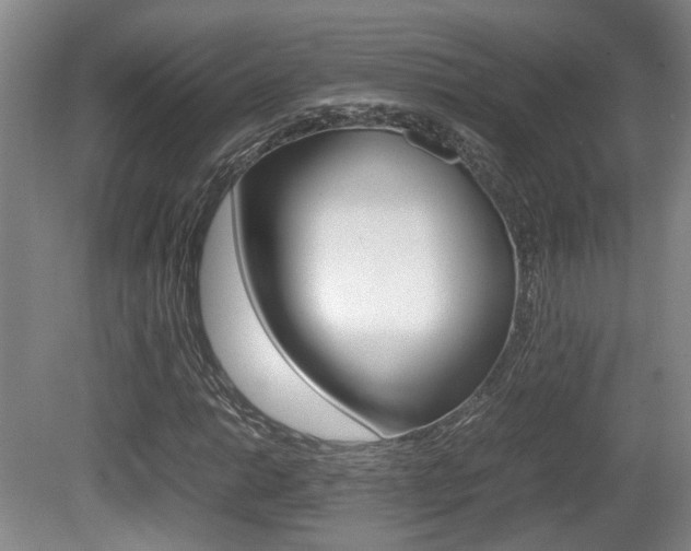 X0000080661014200612150729