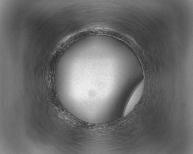 X0000080661016200612150729