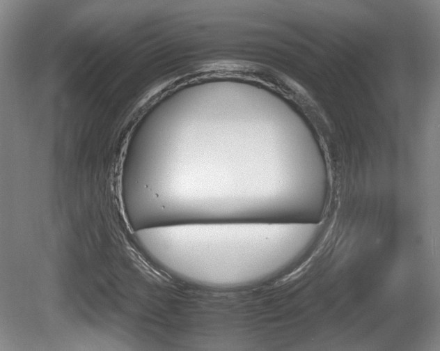 X0000080661017200612150729