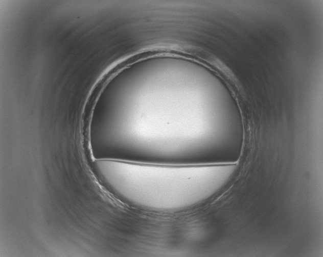 X0000080661020200612150730