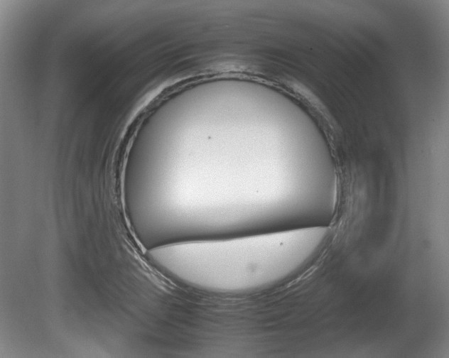 X0000080661023200612150730