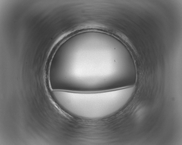 X0000080661024200612150730