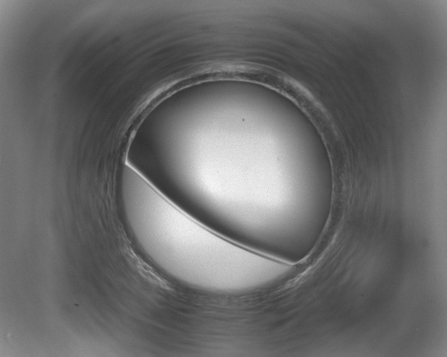 X0000080661025200612150730