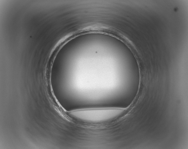 X0000080661026200612150730