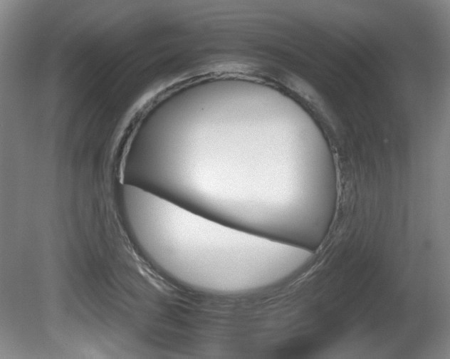 X0000080661027200612150730