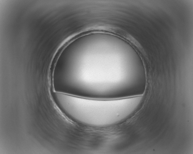 X0000080661028200612150730