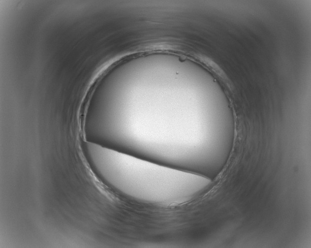 X0000080661031200612150730
