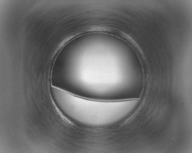 X0000080661033200612150730