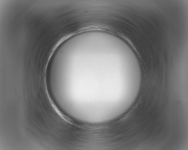 X0000080661034200612150730