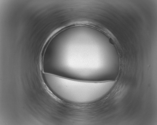 X0000080661036200612150730