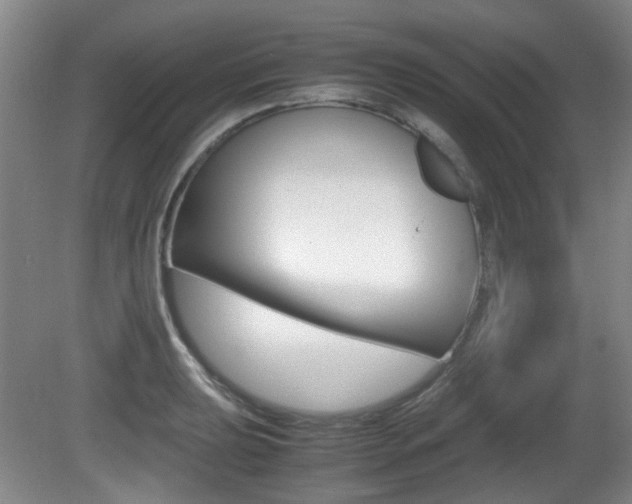 X0000080661039200612150730