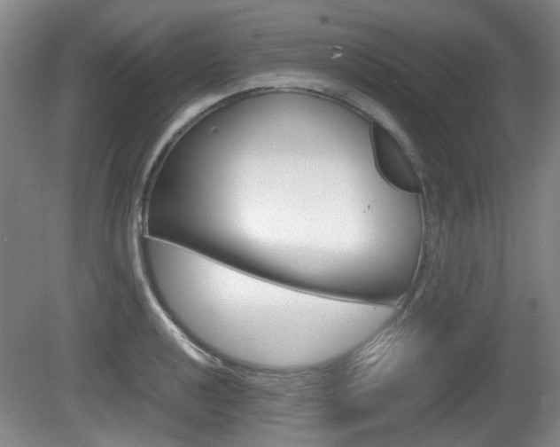 X0000080661040200612150730
