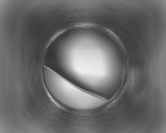 X0000080661041200612150730