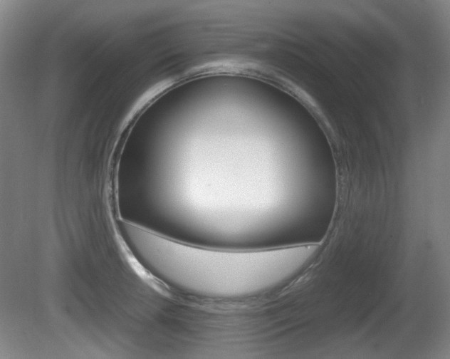 X0000080661042200612150730