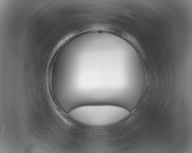 X0000080661043200612150730