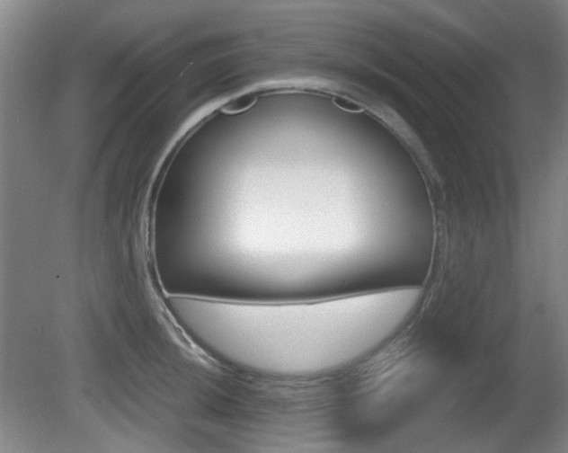 X0000080661044200612150730