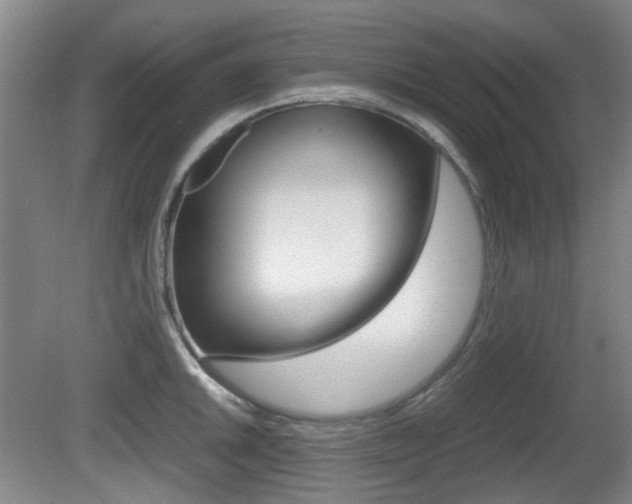 X0000080661046200612150730