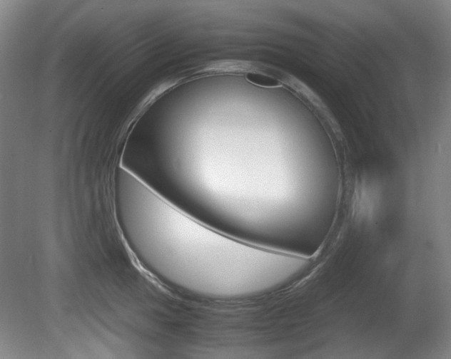 X0000080661049200612150730