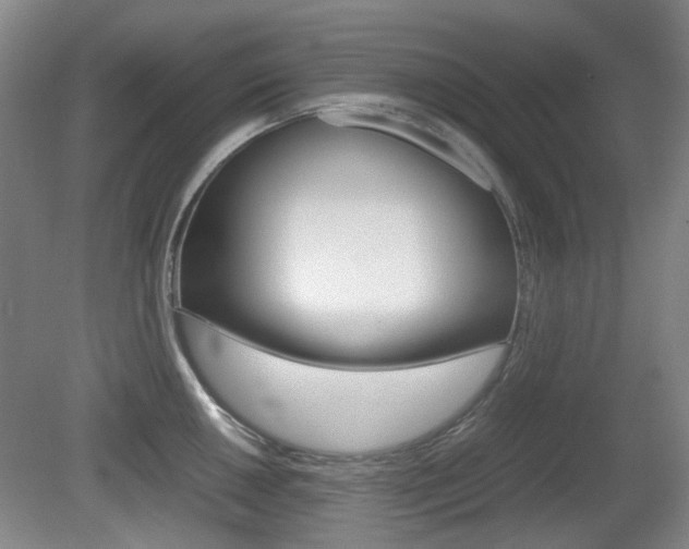 X0000080661050200612150730