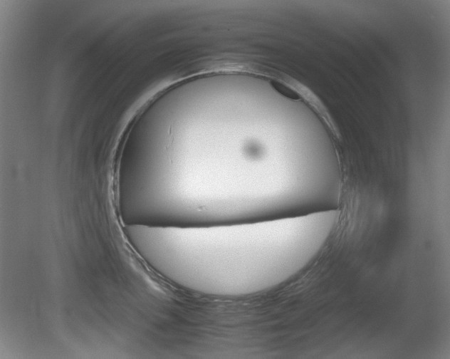X0000080661051200612150730
