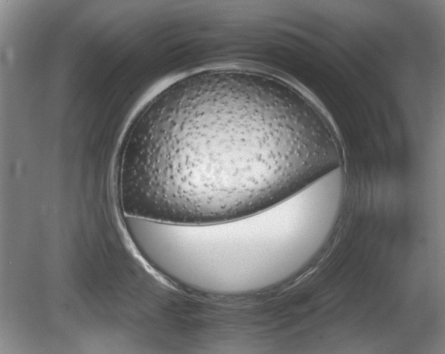 X0000080661053200612150730