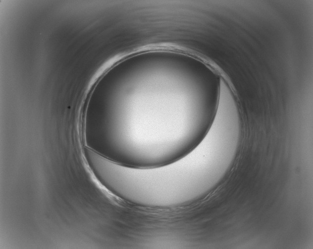 X0000080661054200612150730