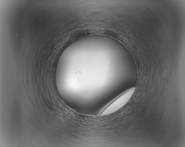 X0000080661057200612150729