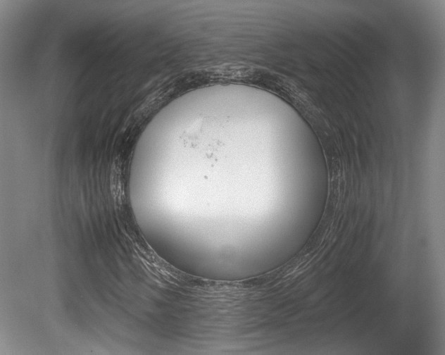 X0000080661058200612150729