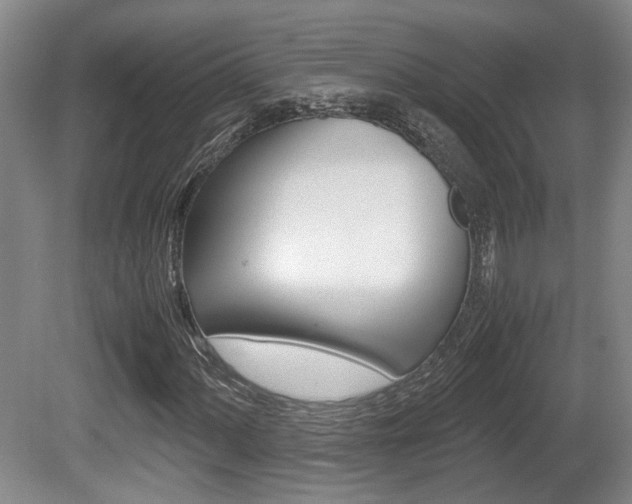 X0000080661060200612150729