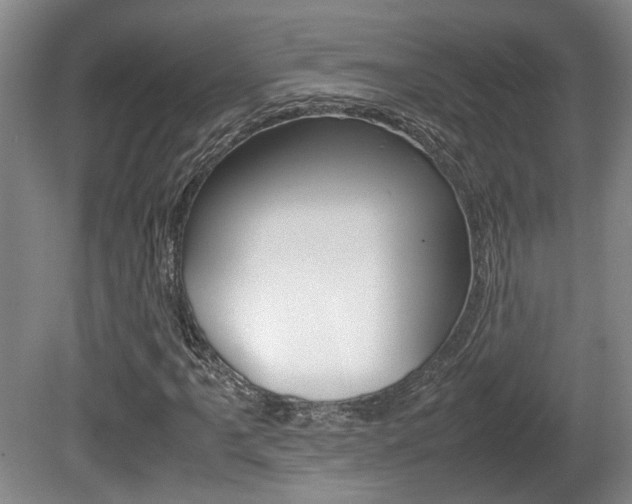 X0000080661061200612150729