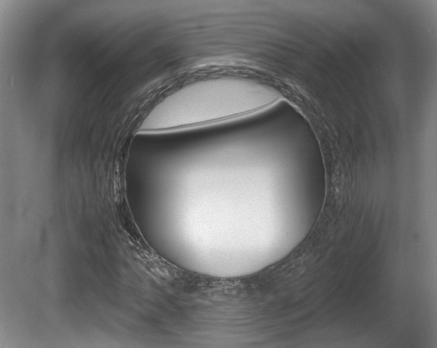 X0000080661062200612150729