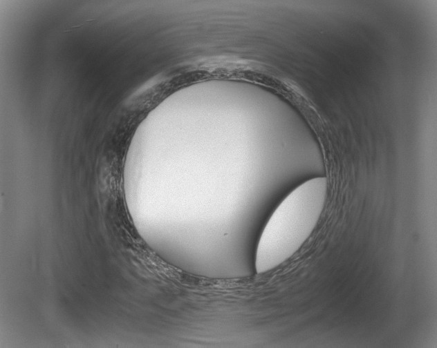 X0000080661063200612150729
