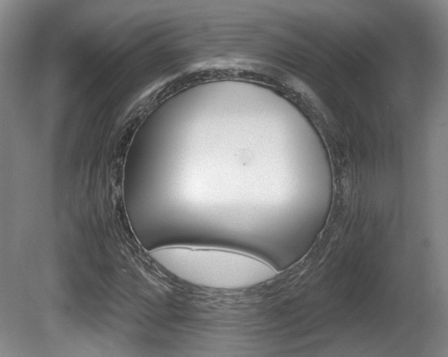 X0000080661064200612150729