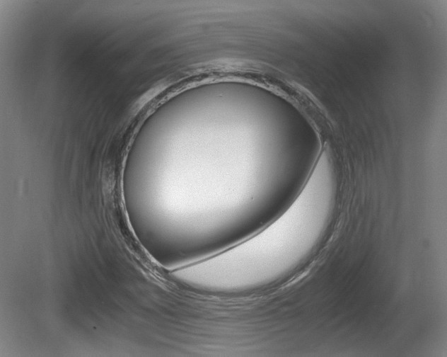 X0000080661065200612150729