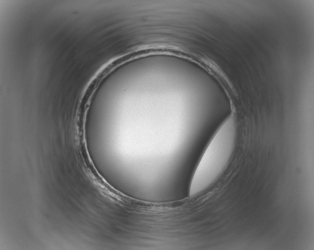 X0000080661068200612150729