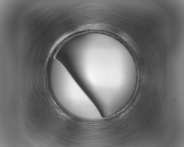 X0000080661070200612150729