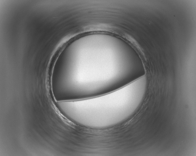 X0000080661072200612150729