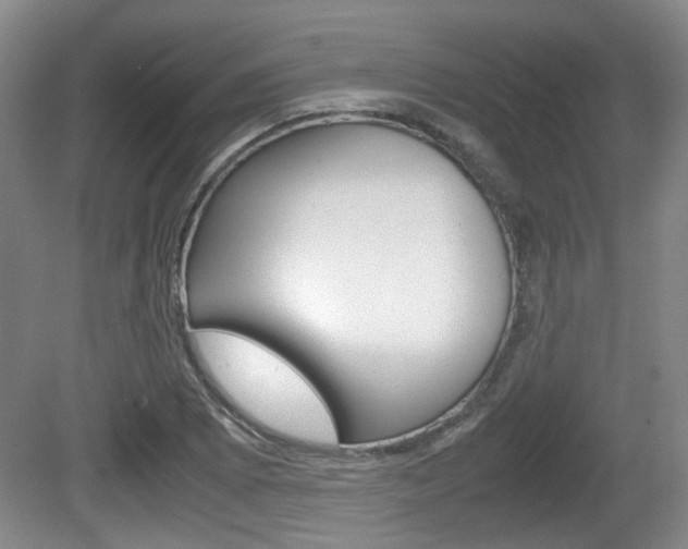 X0000080661073200612150729