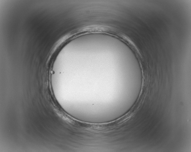 X0000080661075200612150729