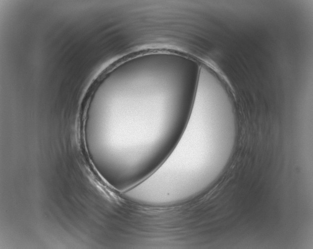 X0000080661076200612150729
