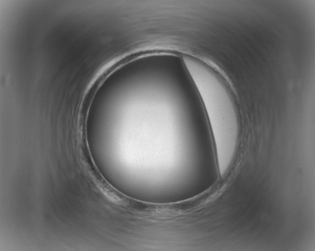 X0000080661077200612150729
