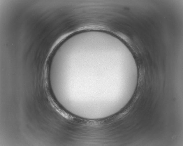 X0000080661078200612150729