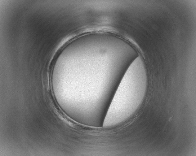 X0000080661079200612150729