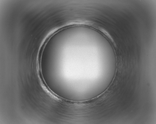 X0000080661080200612150729