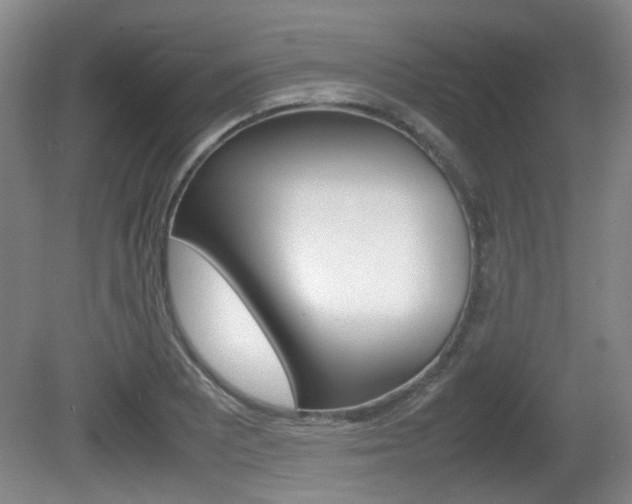 X0000080661081200612150729