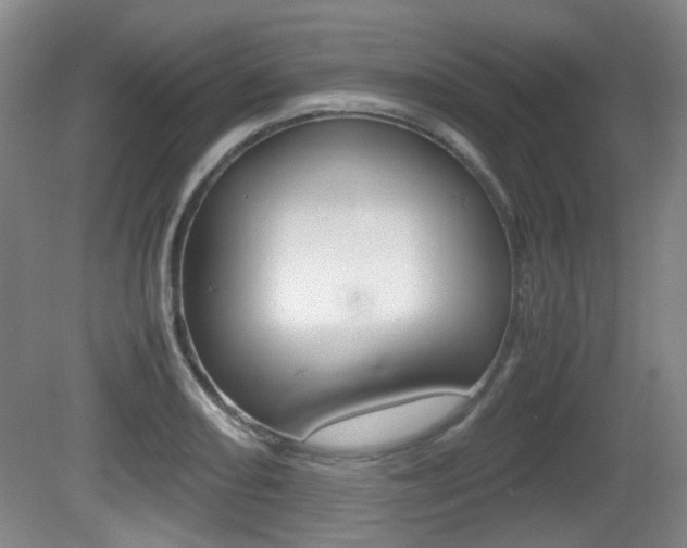 X0000080661082200612150729