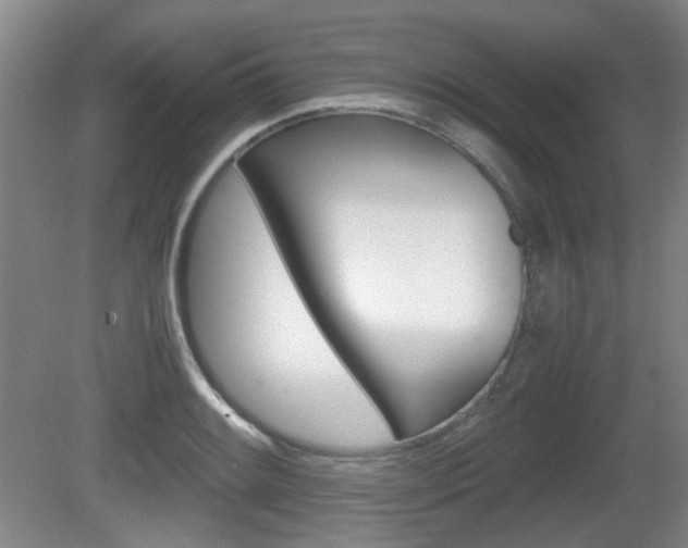 X0000080661084200612150729